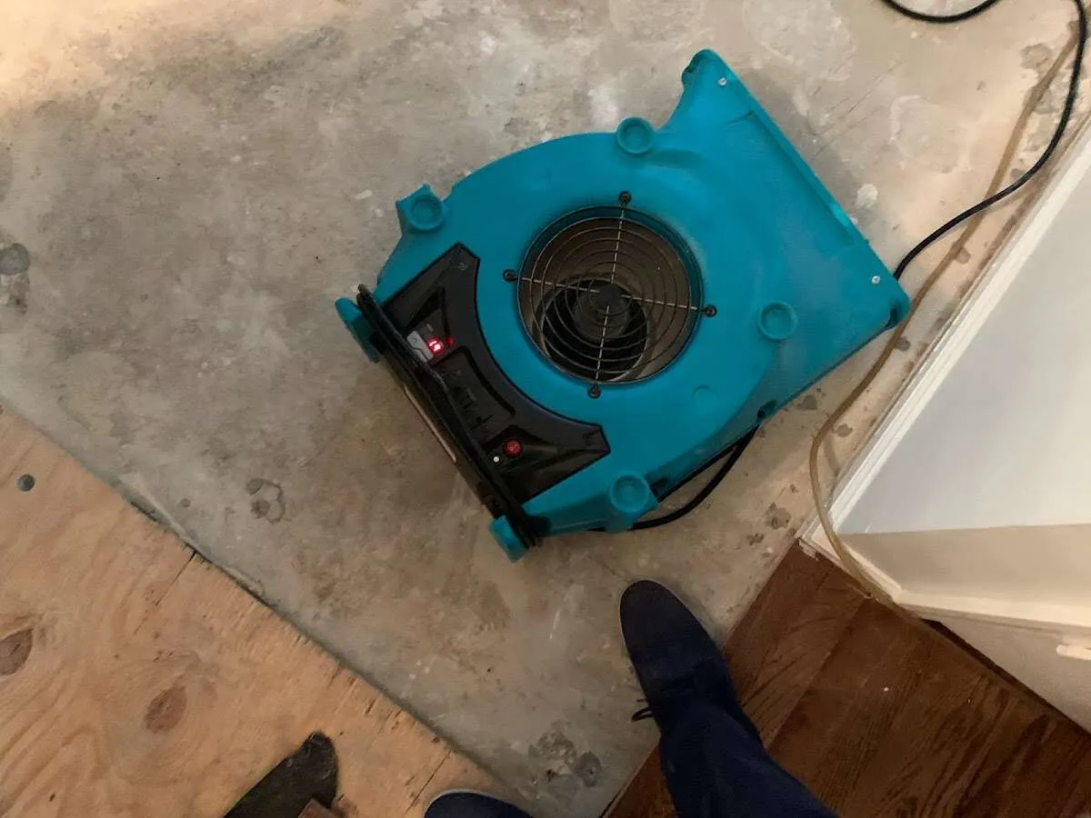 Air mover drying subfloor during Commercial Water Damage Restoration in Winter Beach